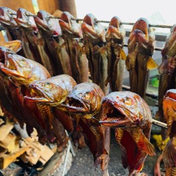 Fischräucherei frische Fische