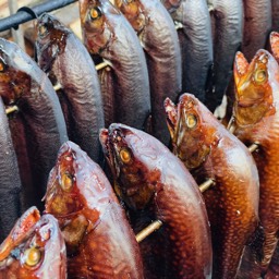 Fischräucherei frische Fische