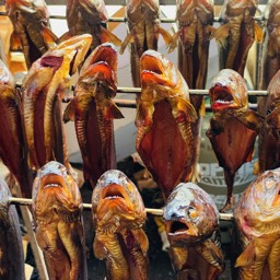 Fischräucherei frische Fische