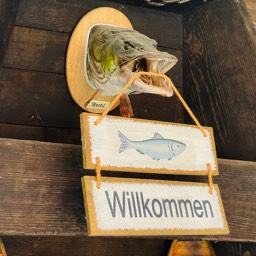 Willkommen im Fischladen