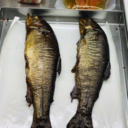 Frische Lachsforellen im Fischladen