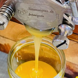 Honig Abfüllung Imkerei